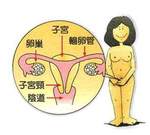 20141223084523586.gif