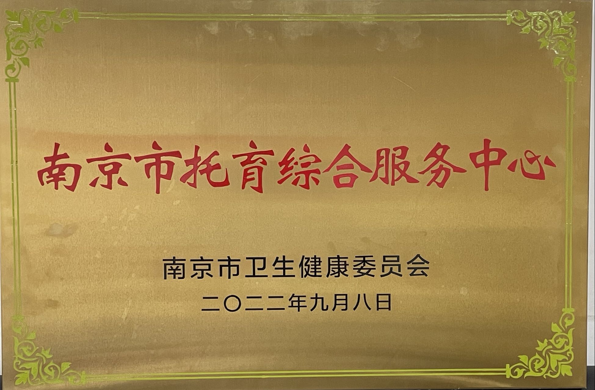 C:\Users\Administrator\Desktop\all\4杂项\其他\医院荣誉\2023年荣誉奖牌（奖状）照片\南京市托育综合服务中心（2022.9.8）.jpg