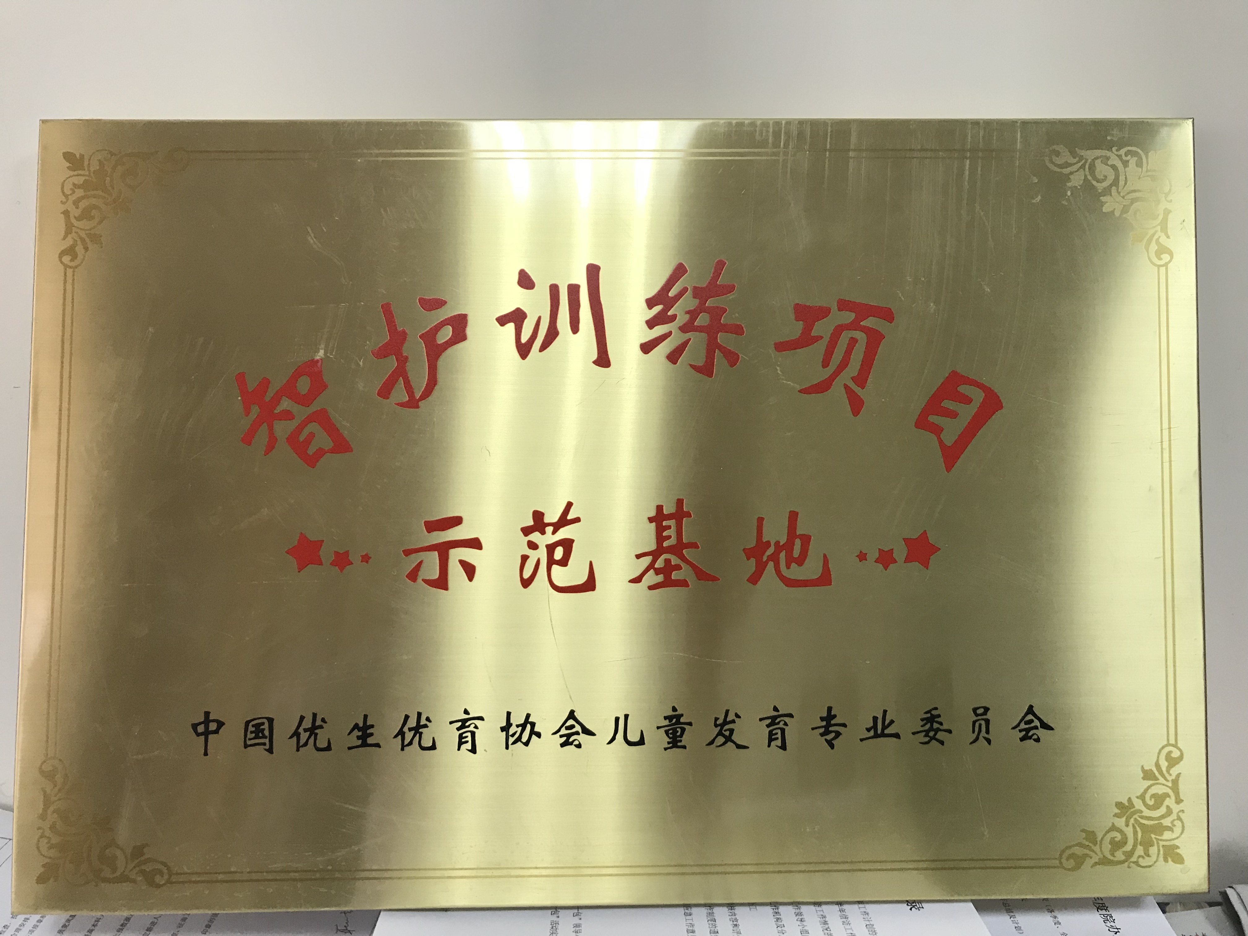 C:\Users\Administrator\Desktop\all\4杂项\其他\医院荣誉\2018年荣誉奖牌（奖状）照片\智护训练项目示范基地.JPG