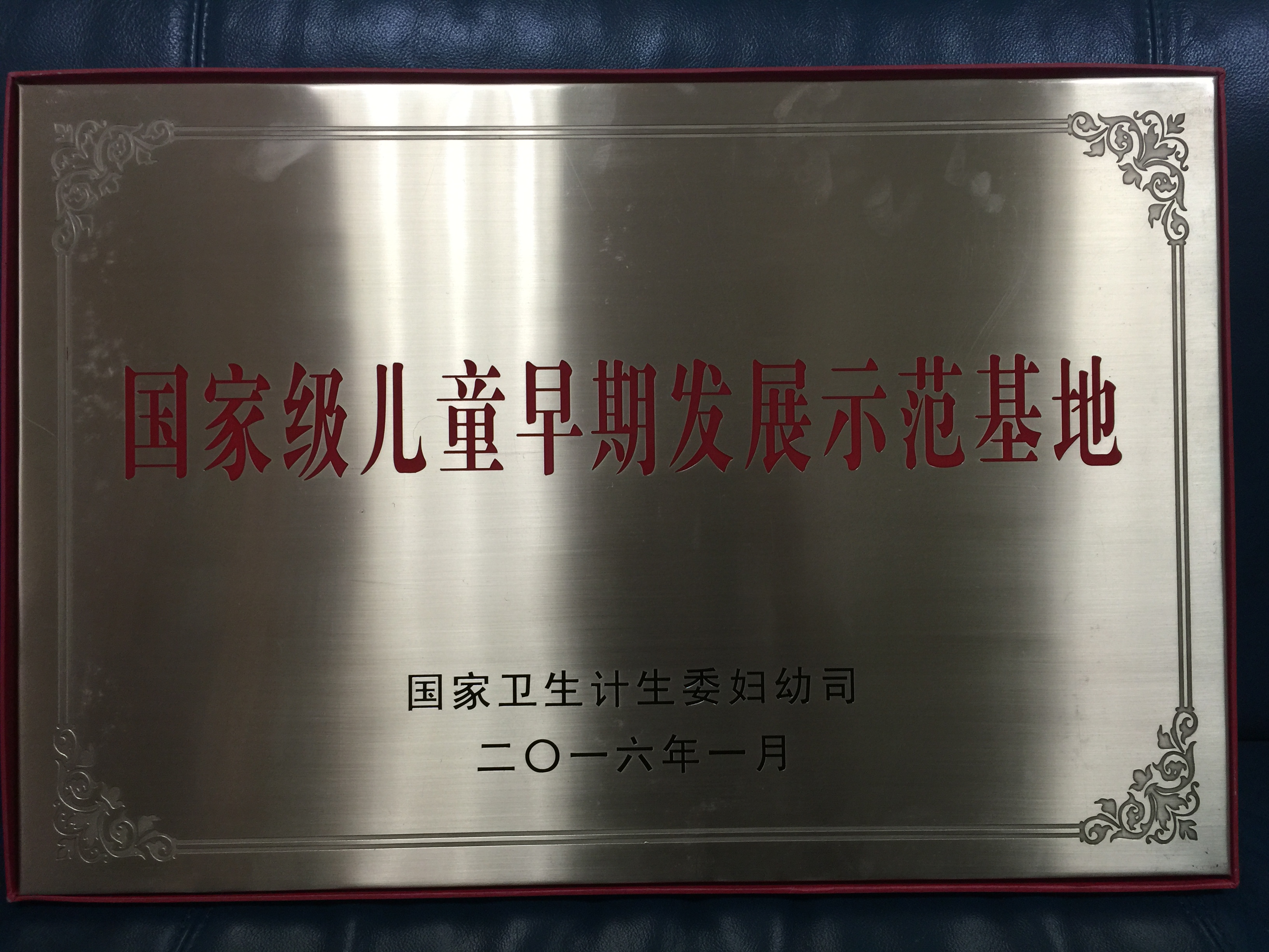 C:\Users\Administrator\Desktop\all\4杂项\其他\医院荣誉\2016年荣誉奖牌（奖状）照片\2016年荣誉奖牌（奖状）照片\2016已录入JP3.JPG