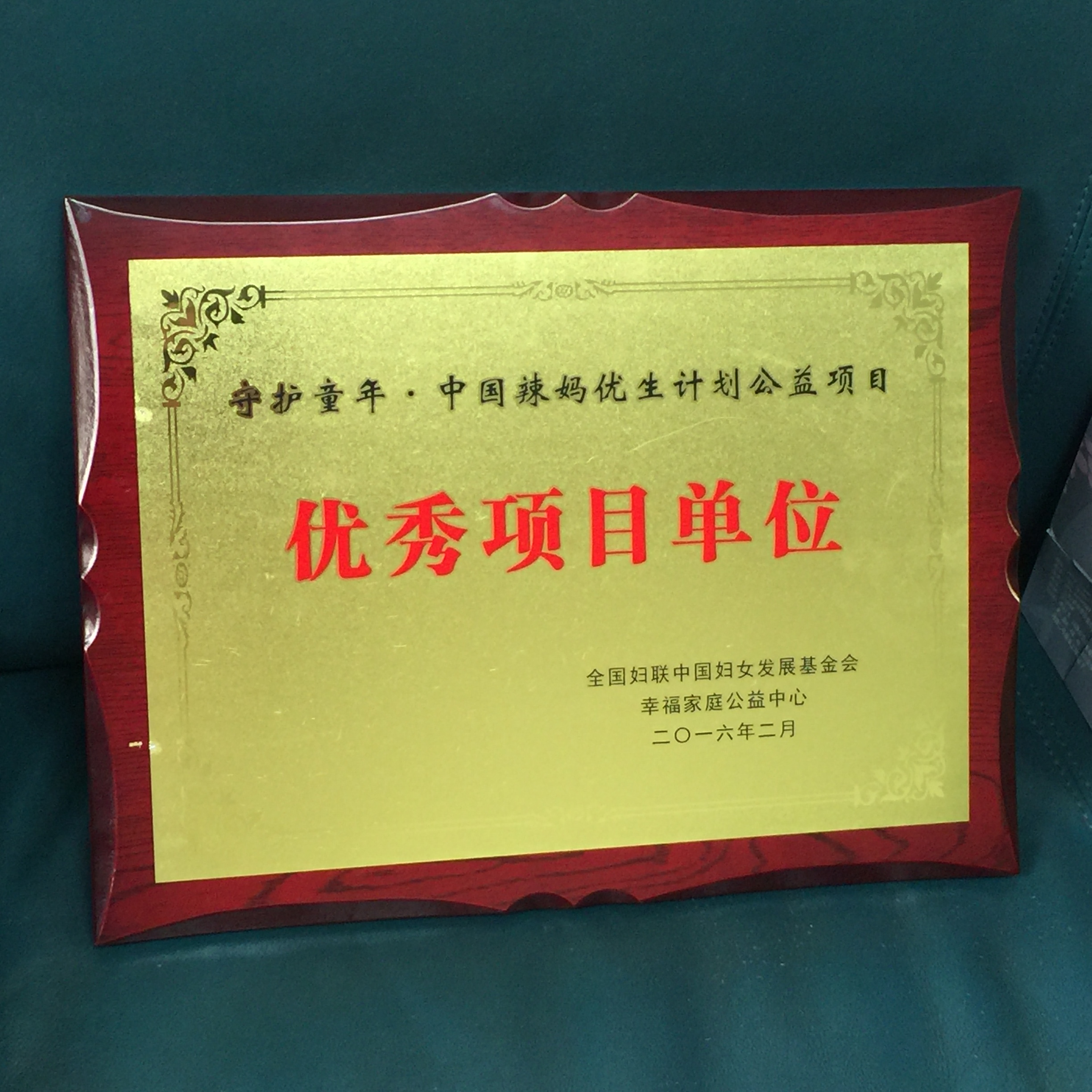 C:\Users\Administrator\Desktop\all\4杂项\其他\医院荣誉\2016年荣誉奖牌（奖状）照片\2016年荣誉奖牌（奖状）照片\2016已录入JP4.JPG